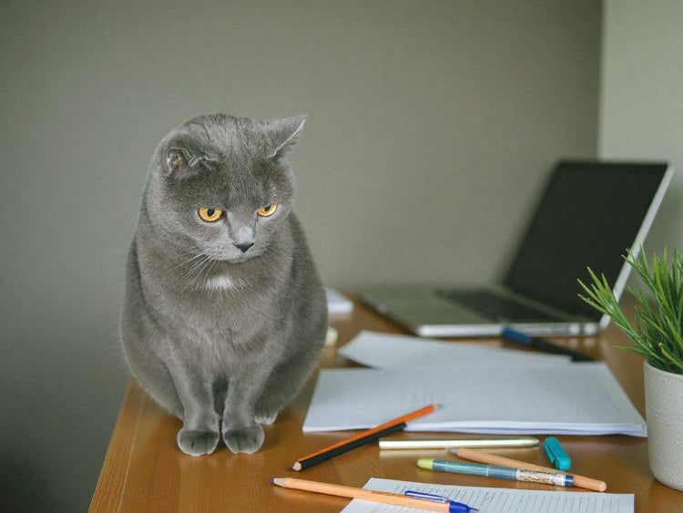 Stationery