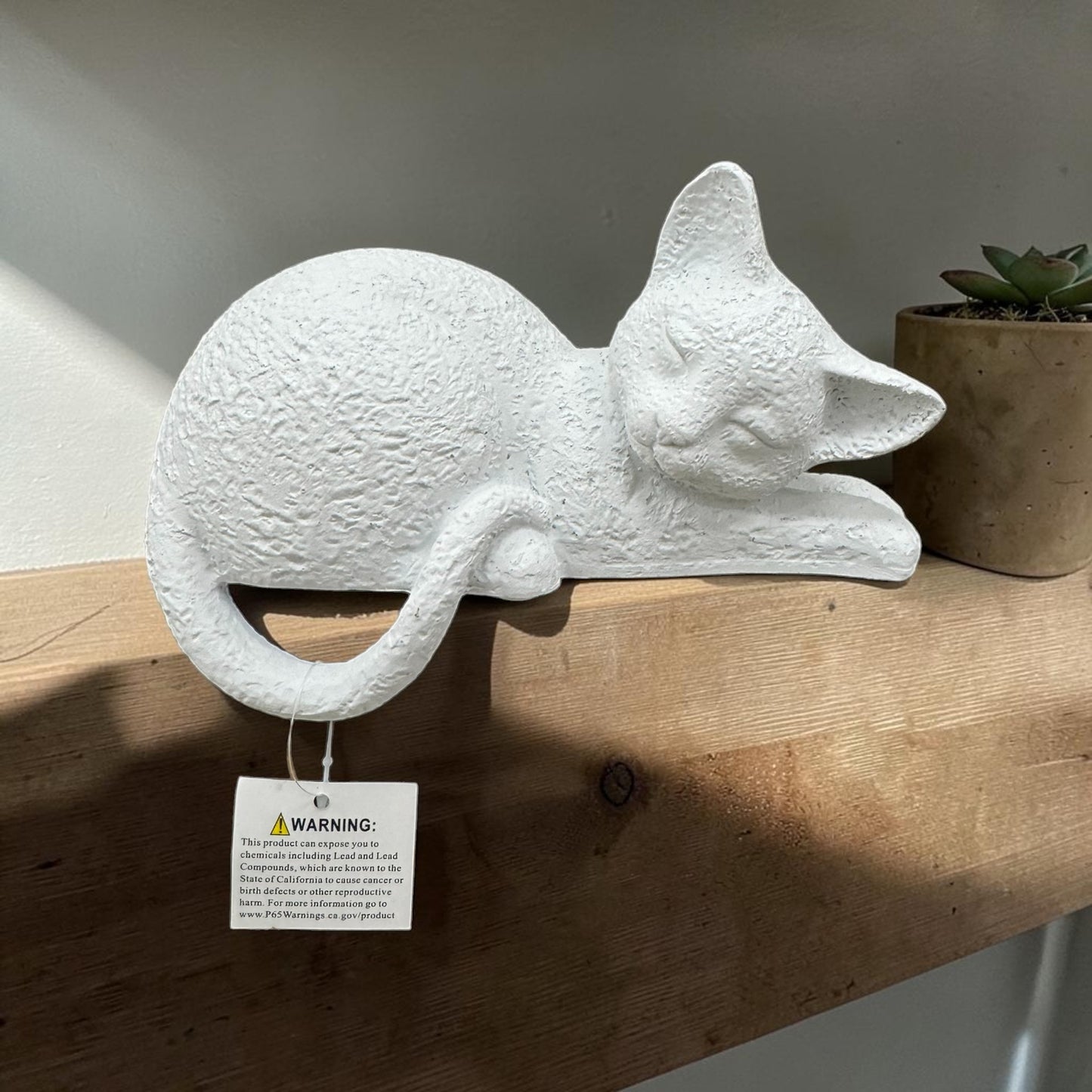 Gatinho Dormindo