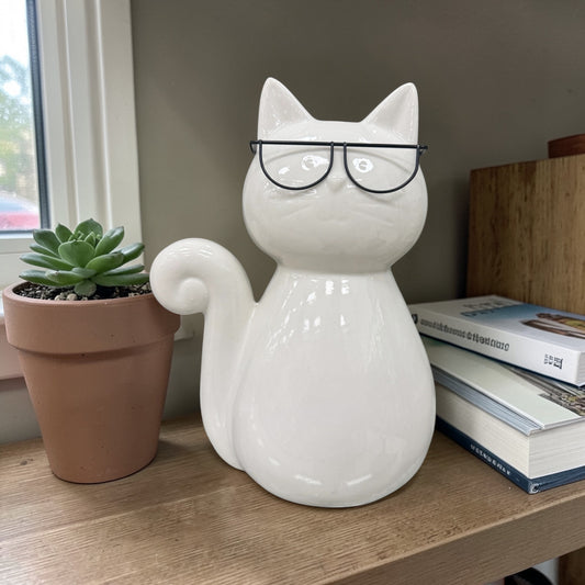 Gato branco de óculos